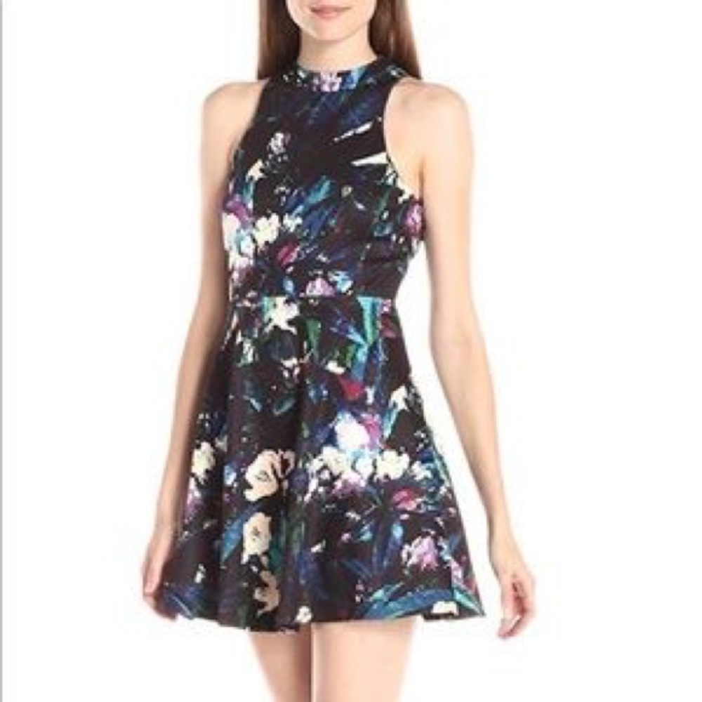 Like New High Neck Townsen Dress